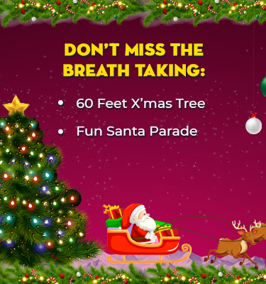 Website-Christmas-Banner-1_02