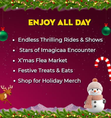 Website-Christmas-Banner-1_03