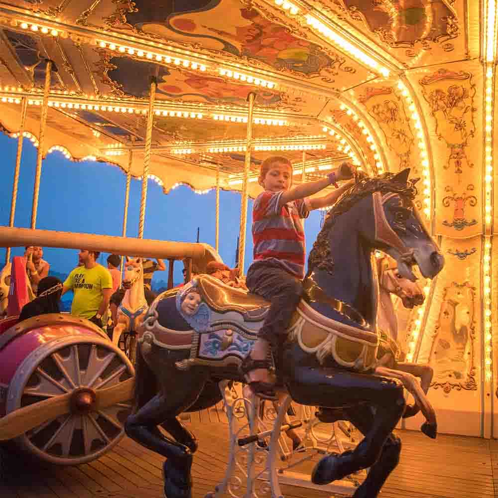 Theme Park Carousel