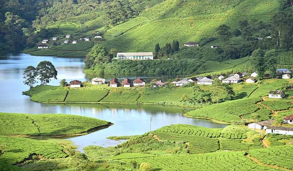 Munnar, Kerala
