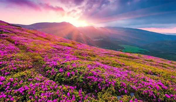 best place to visit in india in august month 